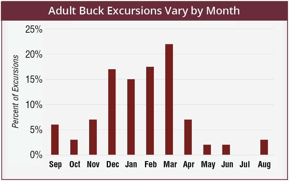Adult buck excursions vary by month. The percentage of buck excursions by month are: September 6%, October 3%, November 7%, December 17%, January 15%, February 17%, March 22%, April 7%, May 2%, June 2%, July 0%, August 3%